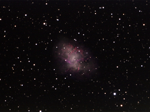 M1