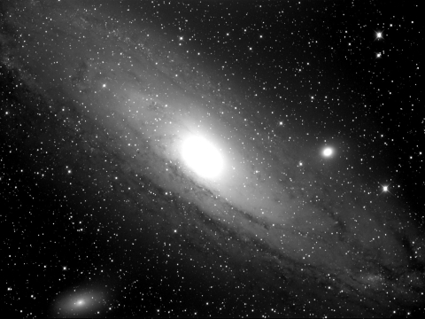M31