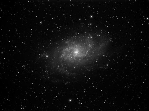 M33