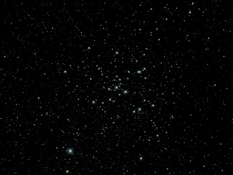 M41