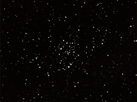 M50