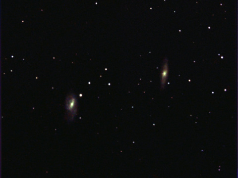 M65 and M66