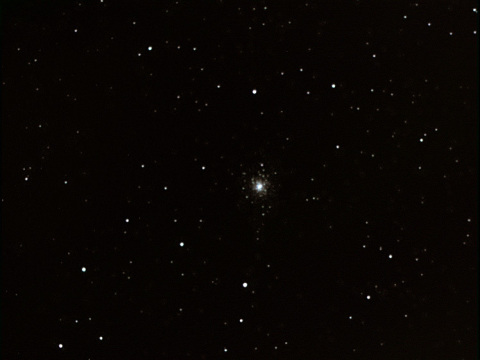 M79