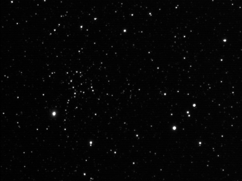 NGC 1664